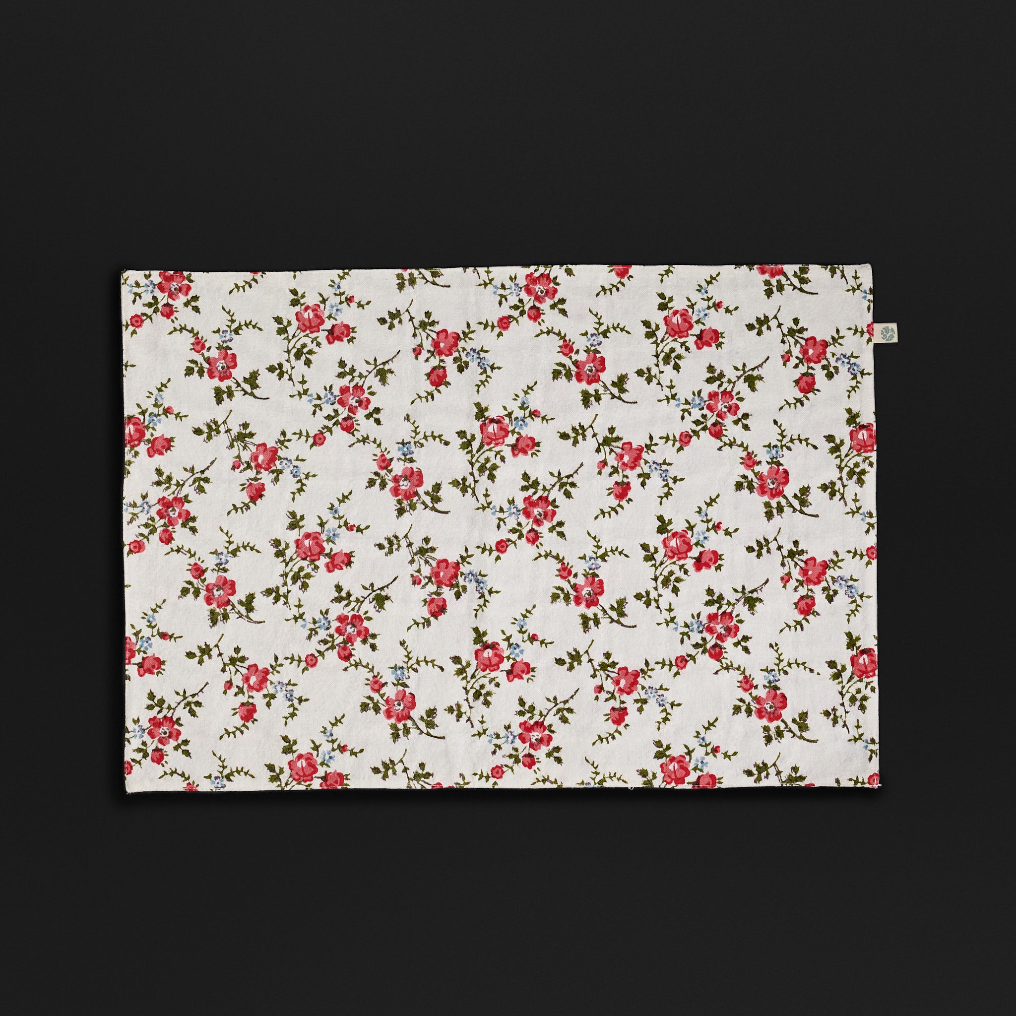 Leana Coral Reversible Placemats