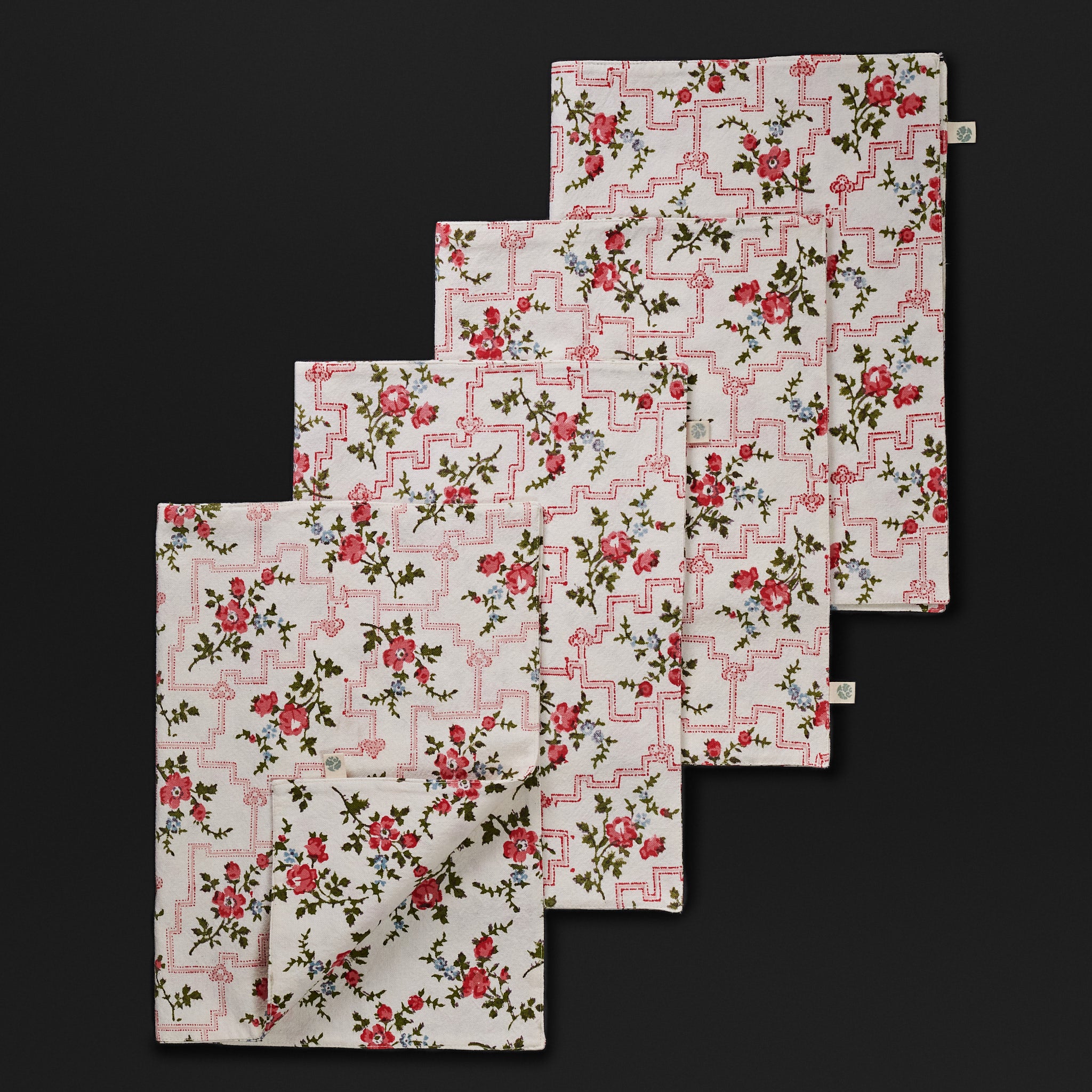 Leana Coral  Reversible Placemats