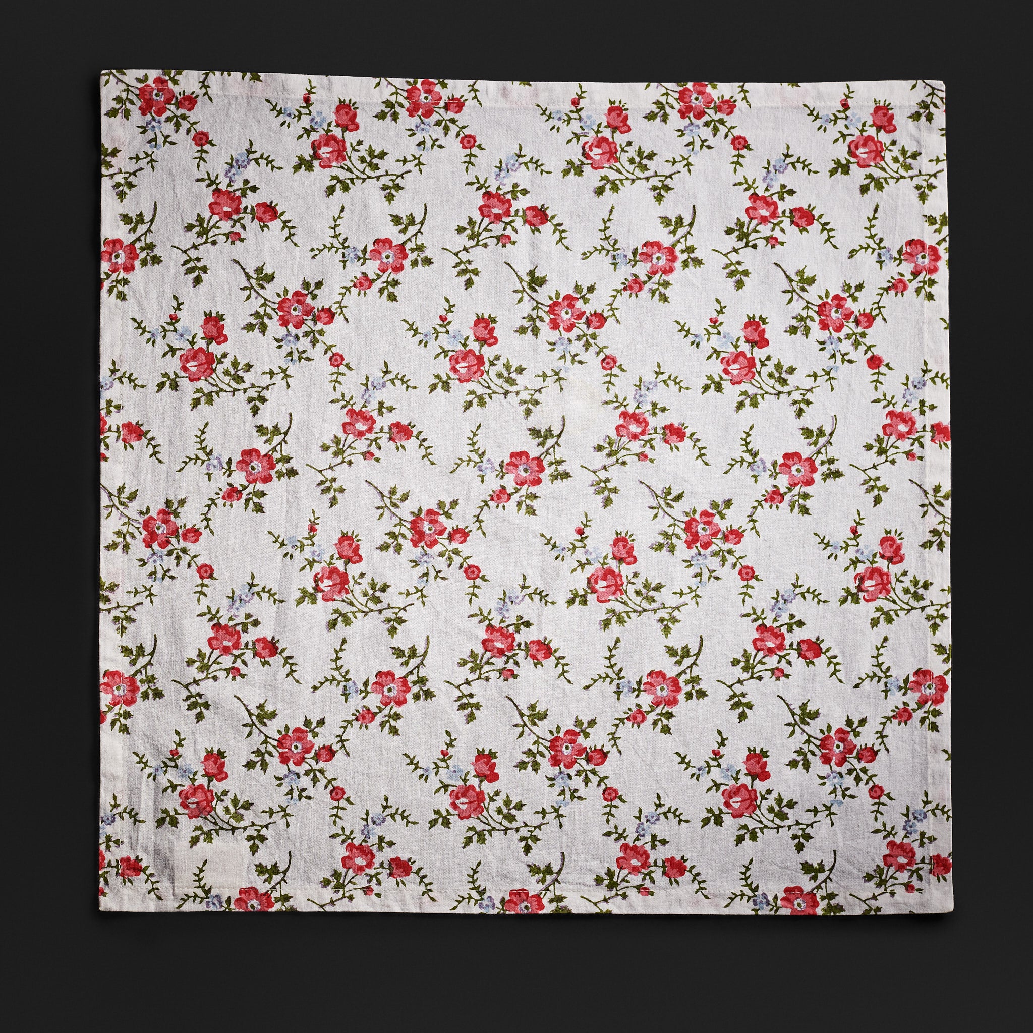 Leana Coral Napkins